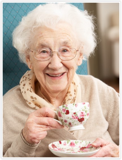 Senior In home Care VA